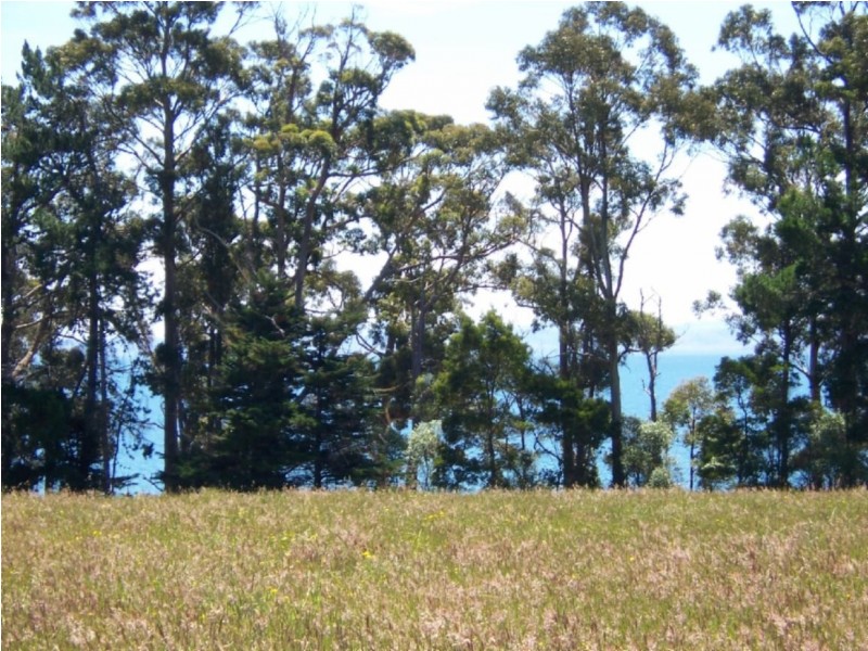 . Nubeena Road, Koonya TAS 7187