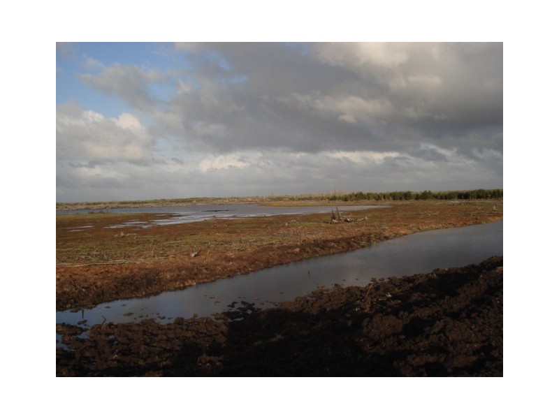 . Off Manson Road, Egg Lagoon, King Island TAS 7256