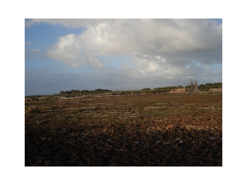 . Off Manson Road, Egg Lagoon, King Island TAS 7256