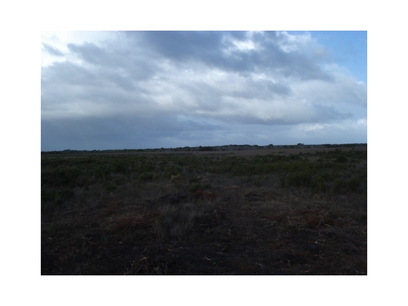 . Off Manson Road, Egg Lagoon, King Island TAS 7256