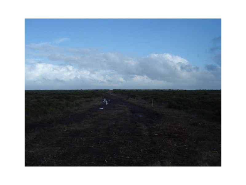 . Off Manson Road, Egg Lagoon, King Island TAS 7256