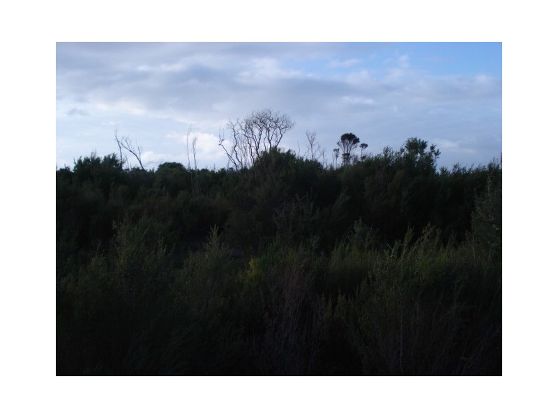 . Off Manson Road, Egg Lagoon, King Island TAS 7256