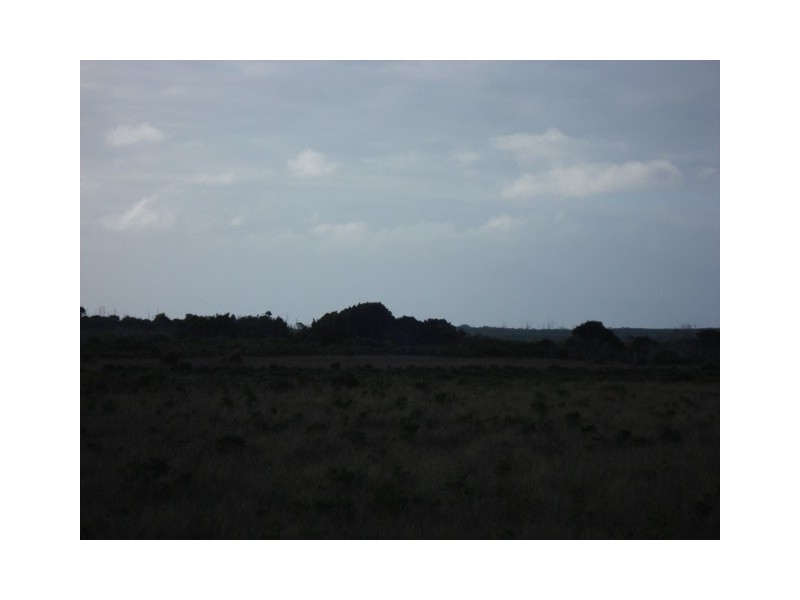 . Off Manson Road, Egg Lagoon, King Island TAS 7256