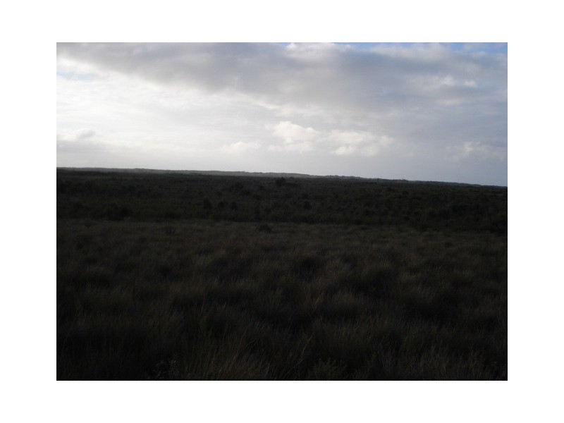 . Off Manson Road, Egg Lagoon, King Island TAS 7256