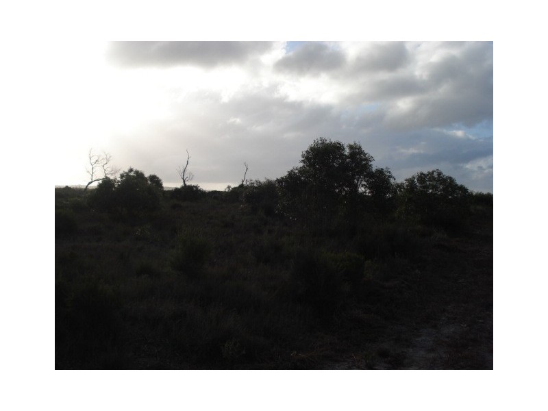 . Off Manson Road, Egg Lagoon, King Island TAS 7256