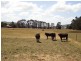 823 Long Plains Road, Bridgenorth TAS 7277