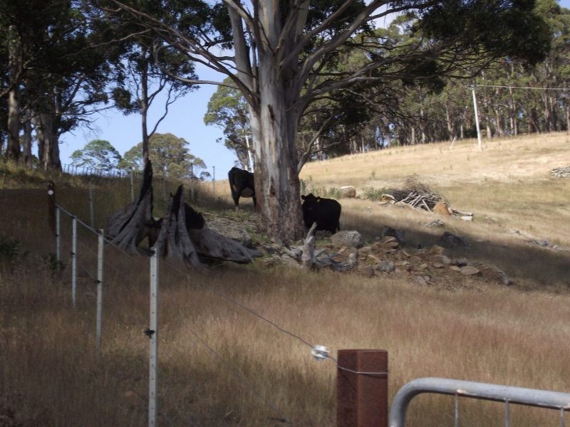 . Woodsdale Road, Woodsdale TAS 7120