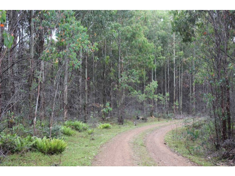 . Lake Road, Lake Leake TAS 7210