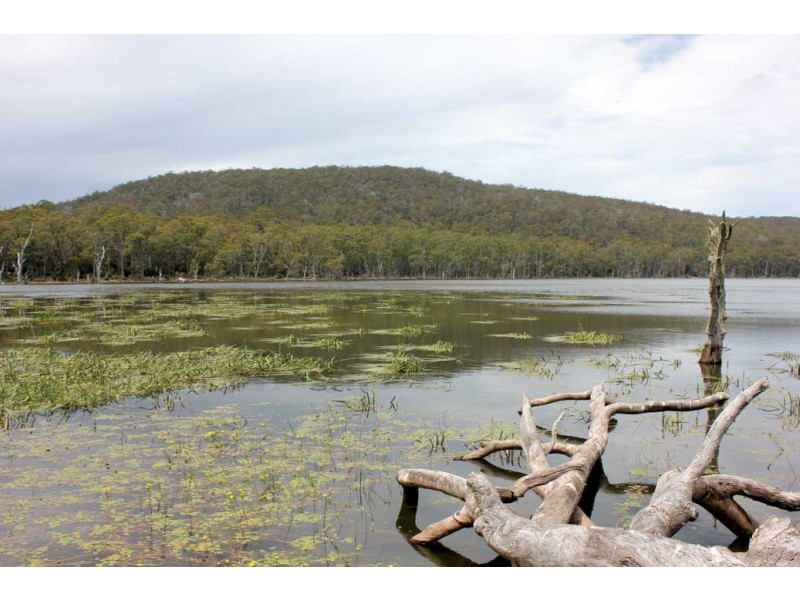 . Lake Road, Lake Leake TAS 7210