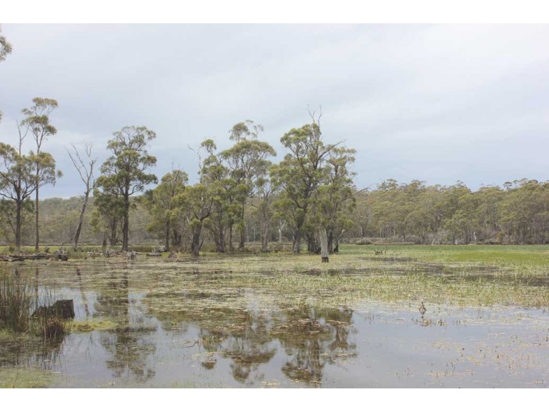 . Lake Road, Lake Leake TAS 7210