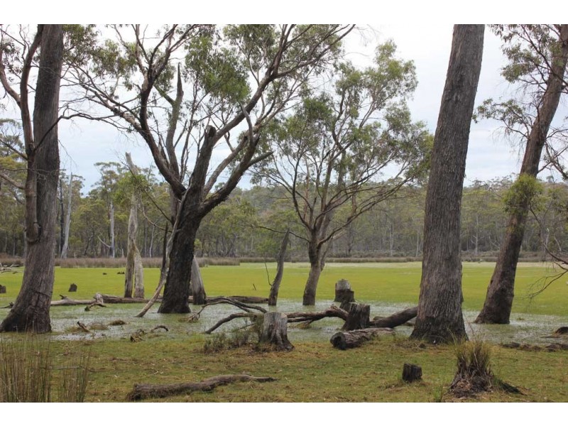 . Lake Road, Lake Leake TAS 7210