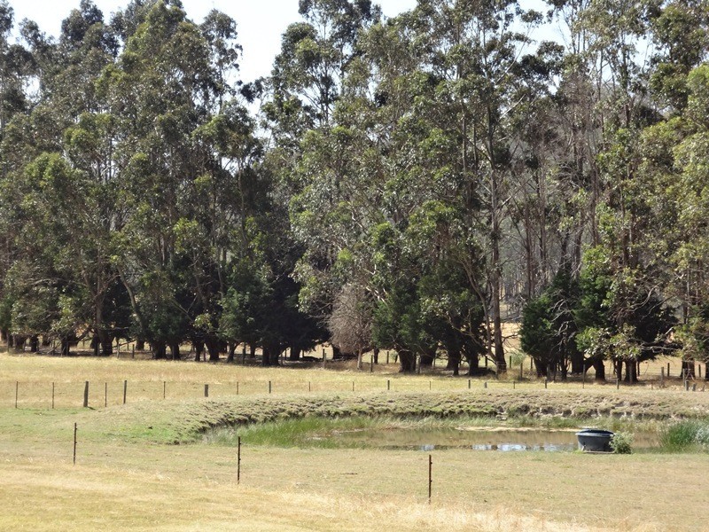 823 Long Plains Road, Bridgenorth TAS 7277
