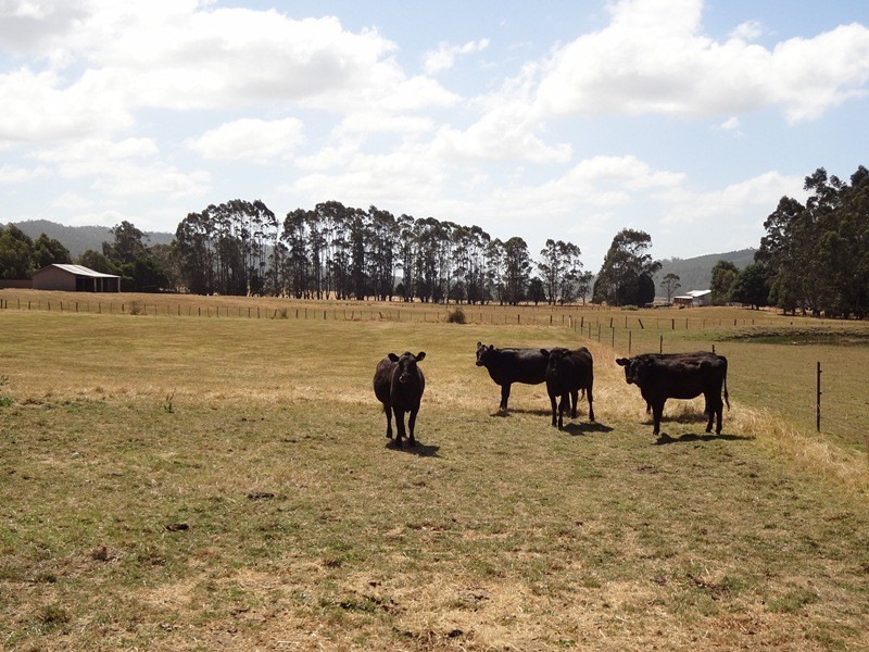 823 Long Plains Road, Bridgenorth TAS 7277