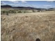 . Arthur Street, Colebrook TAS 7027