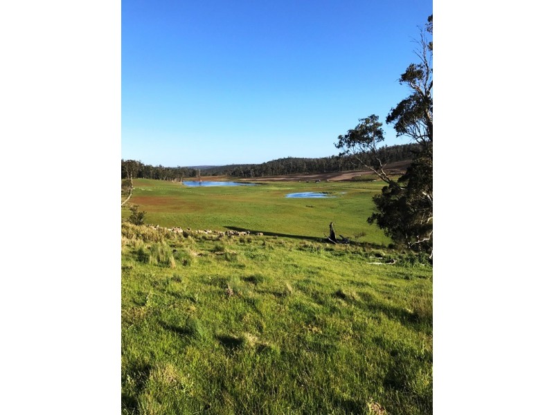 188 Tin Pot Marsh Road, Woodsdale TAS 7120