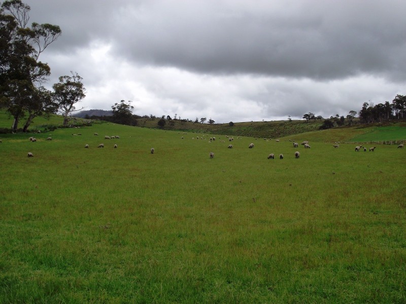 188 Tin Pot Marsh Road, Woodsdale TAS 7120