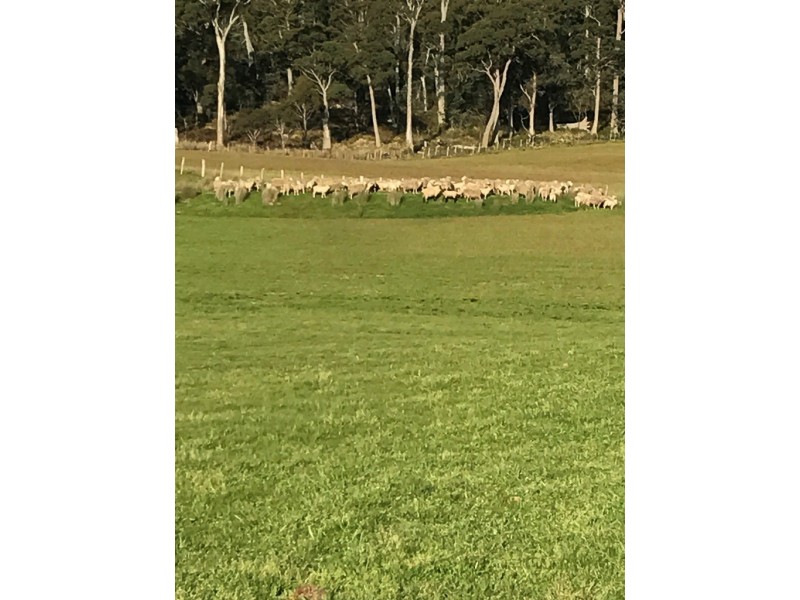 188 Tin Pot Marsh Road, Woodsdale TAS 7120