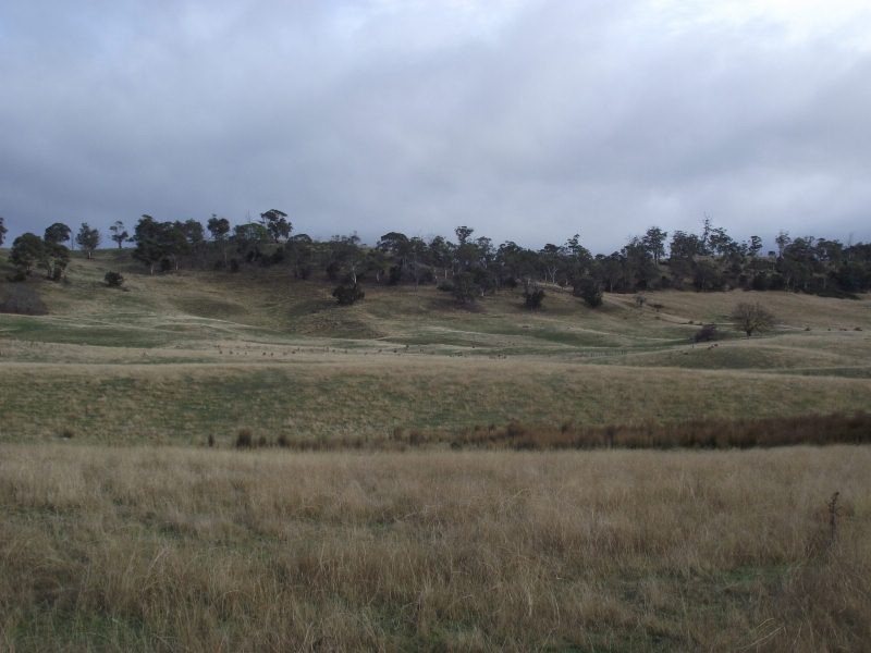 50 Fosters Road, Dysart TAS 7030