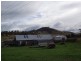 50 Fosters Road, Dysart TAS 7030