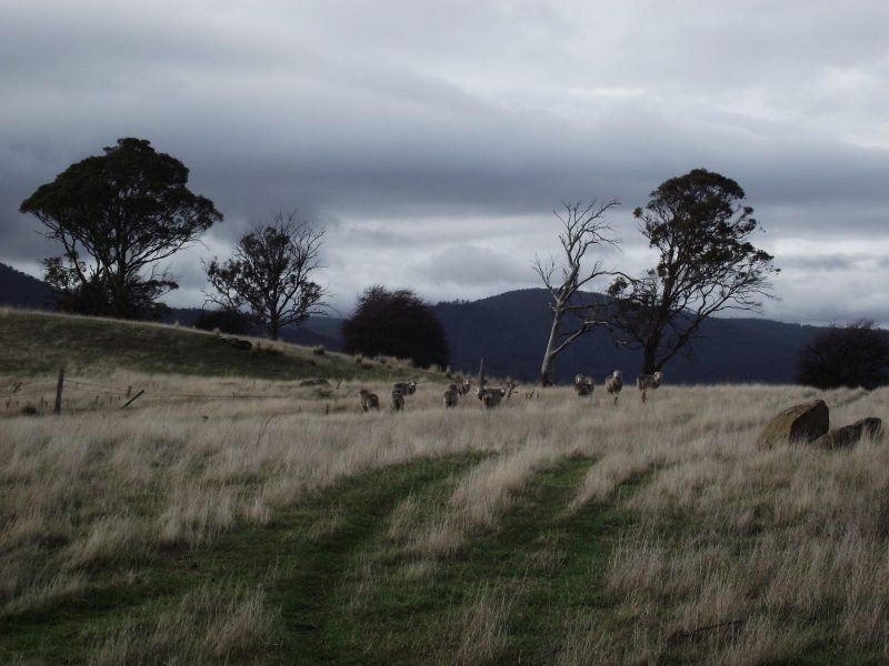 50 Fosters Road, Dysart TAS 7030