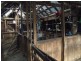50 Fosters Road, Dysart TAS 7030