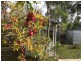 50 Fosters Road, Dysart TAS 7030