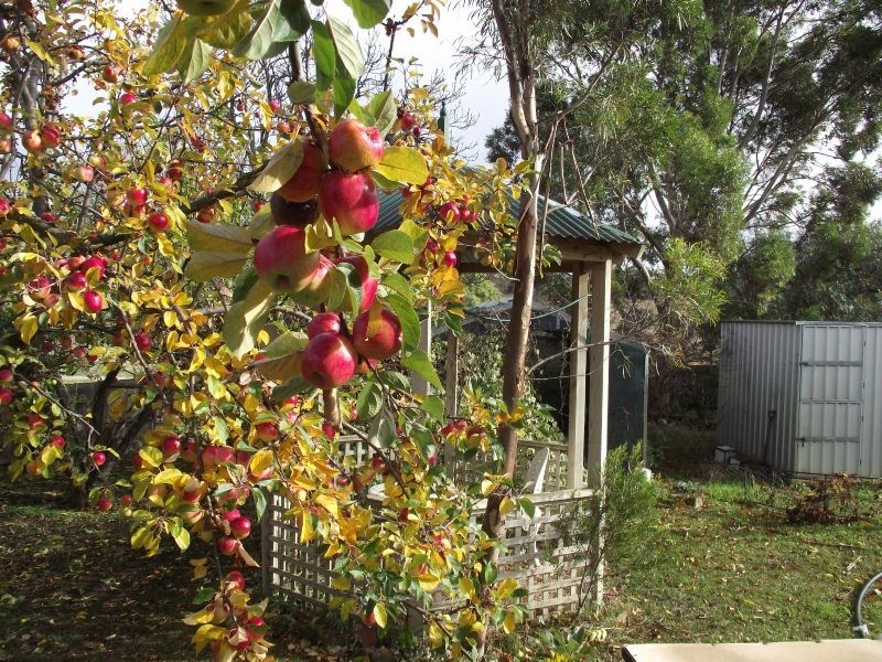 50 Fosters Road, Dysart TAS 7030