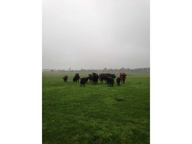 . Triffets Road, Currie, King Island TAS 7256