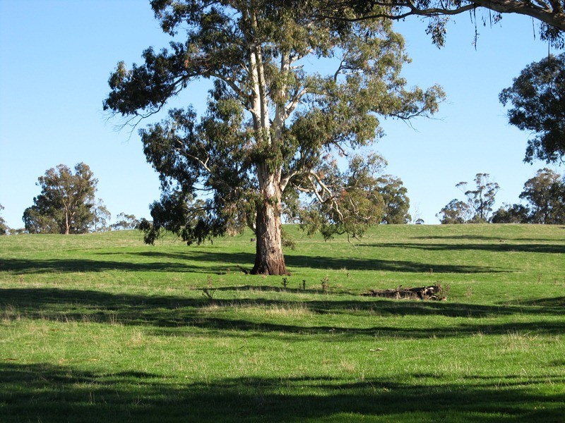 818 Osmaston Road, Osmaston TAS 7303