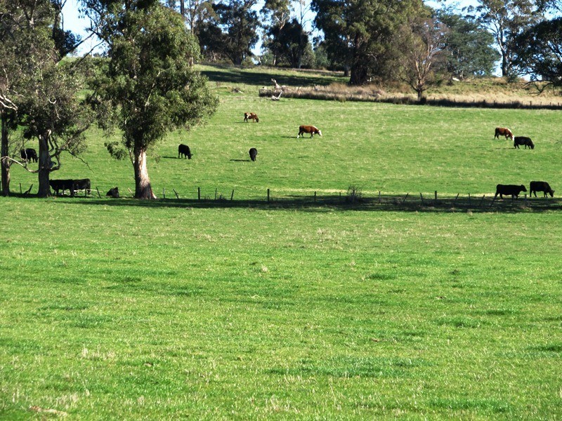 818 Osmaston Road, Osmaston TAS 7303