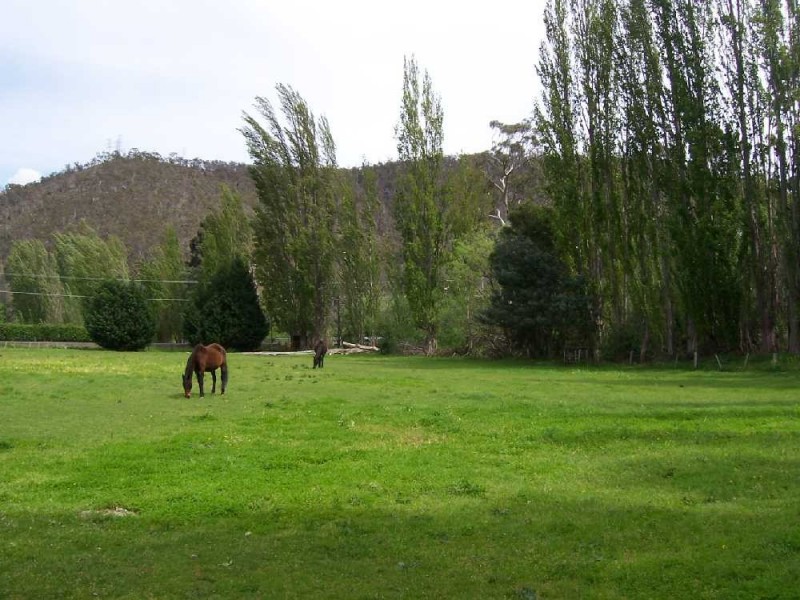 205 Molesworth Road, Molesworth TAS 7140