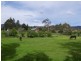 205 Molesworth Road, Molesworth TAS 7140