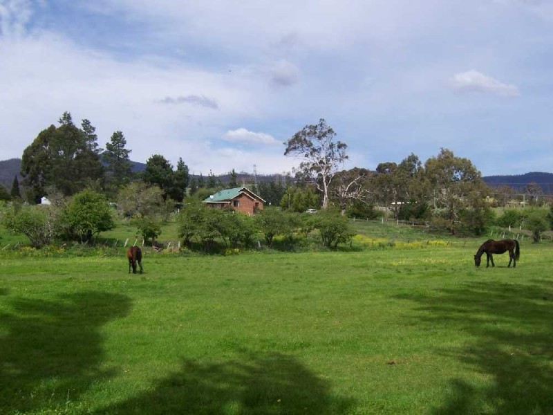 205 Molesworth Road, Molesworth TAS 7140