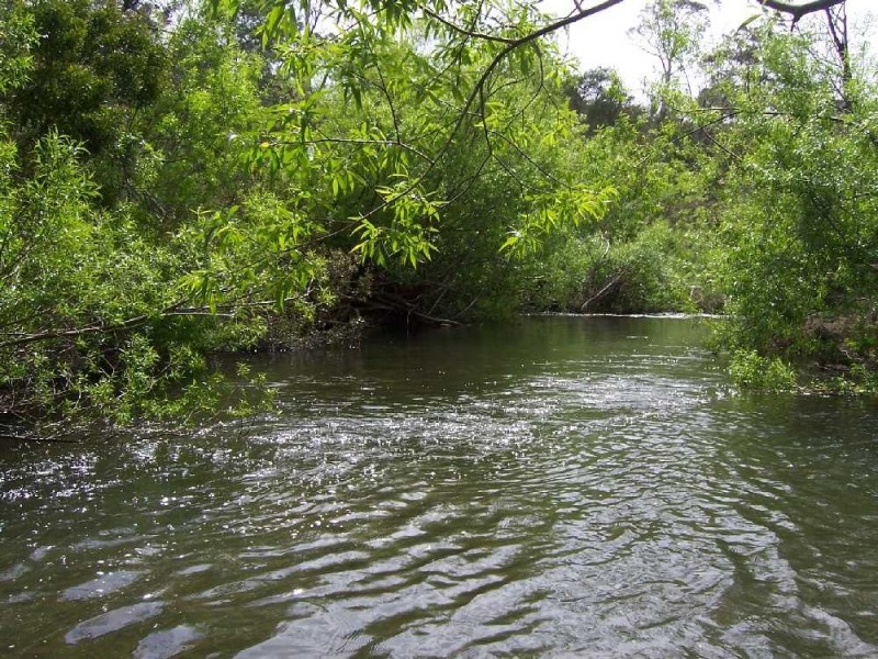 205 Molesworth Road, Molesworth TAS 7140