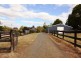1 Dexter Street, Westbury TAS 7303