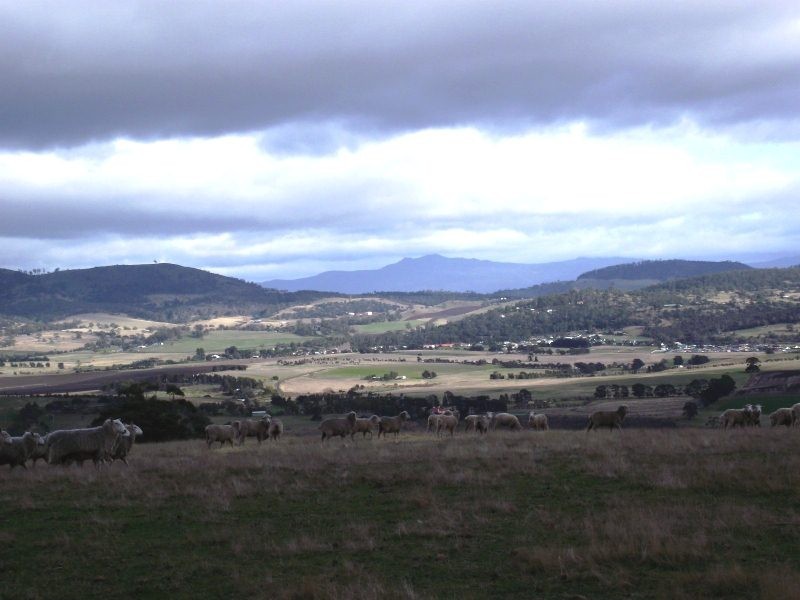 350 White Kangaroo Road, Campania TAS 7026