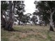 350 White Kangaroo Road, Campania TAS 7026