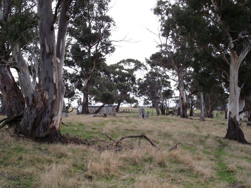 350 White Kangaroo Road, Campania TAS 7026