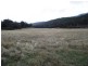 350 White Kangaroo Road, Campania TAS 7026