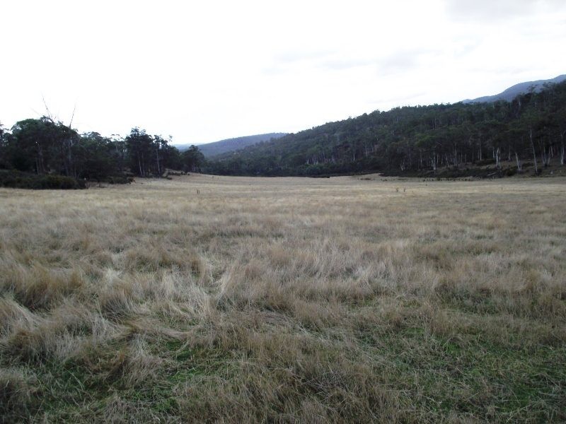 350 White Kangaroo Road, Campania TAS 7026