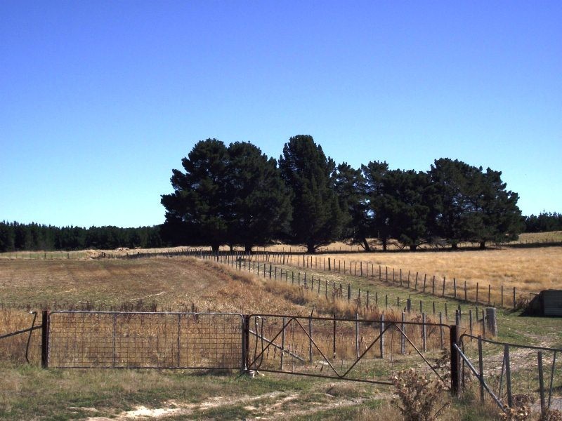 381 Wattle Hill Road, Tunnack TAS 7120