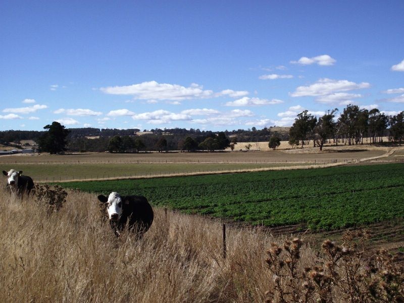 381 Wattle Hill Road, Tunnack TAS 7120
