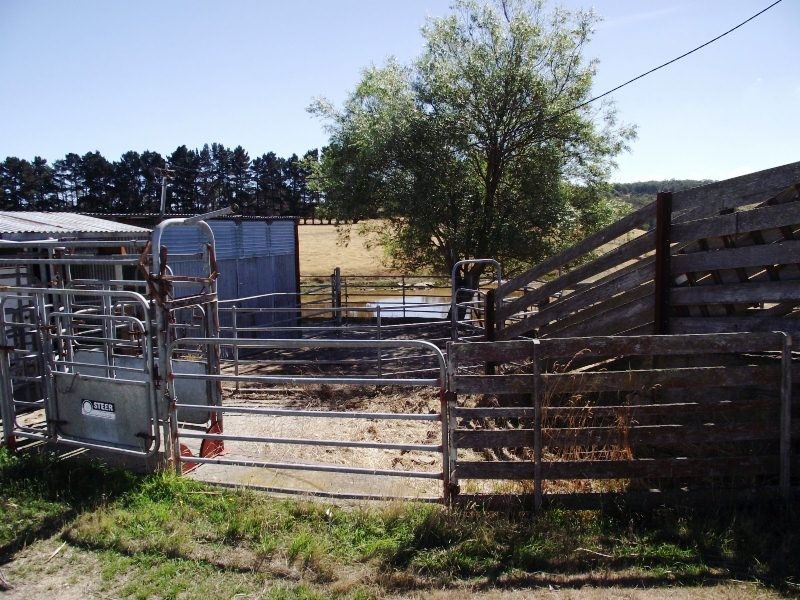 381 Wattle Hill Road, Tunnack TAS 7120