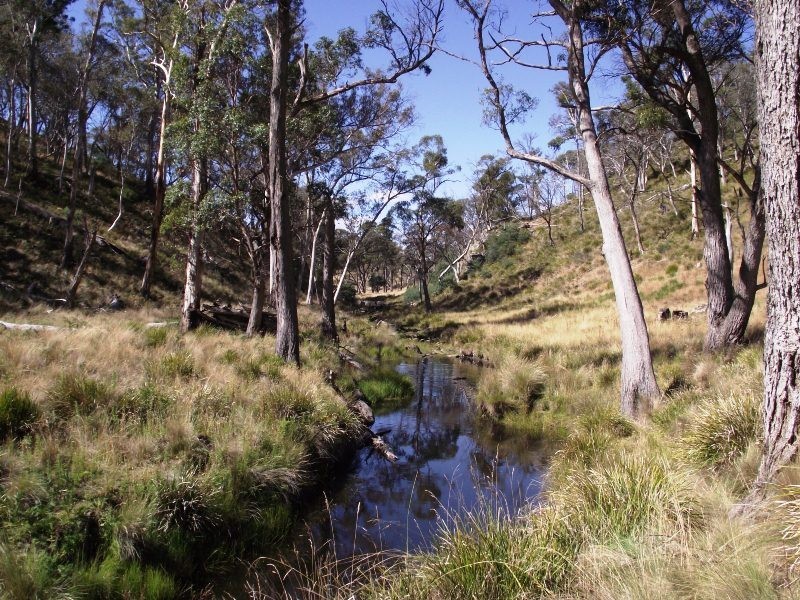 381 Wattle Hill Road, Tunnack TAS 7120