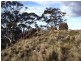 . Stonor Road, Stonor TAS 7119