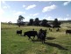 . Stonor Road, Stonor TAS 7119