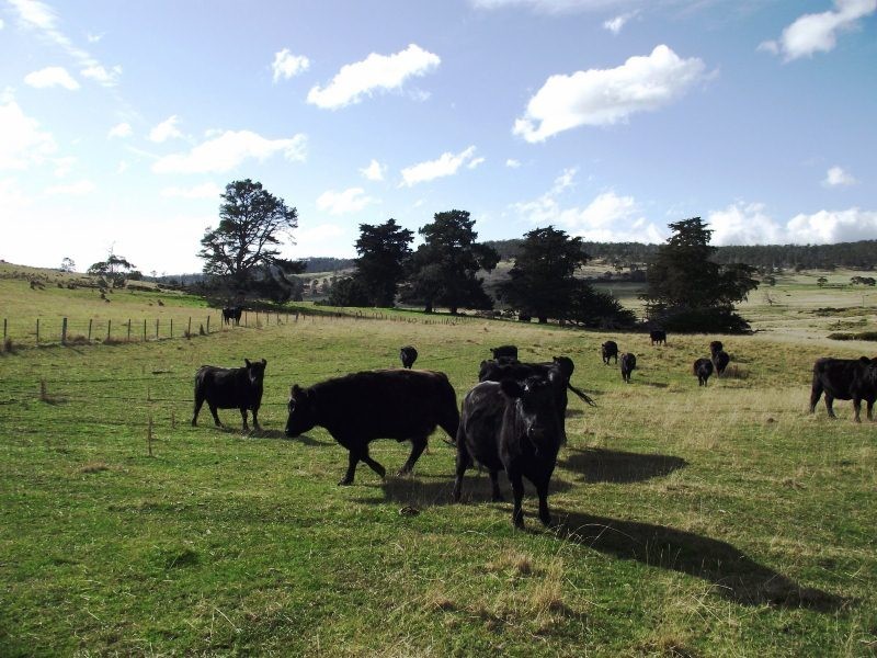 . Stonor Road, Stonor TAS 7119