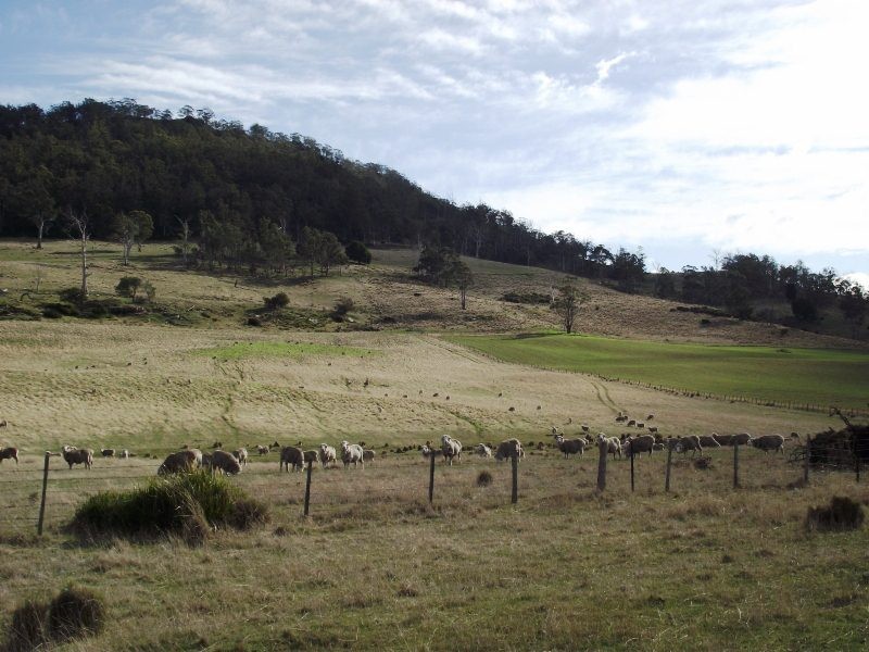 . Stonor Road, Stonor TAS 7119