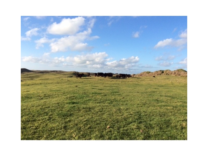 711 North Road, Loorana, King Island TAS 7256