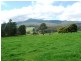 1813 Lilydale Road, Lilydale TAS 7268